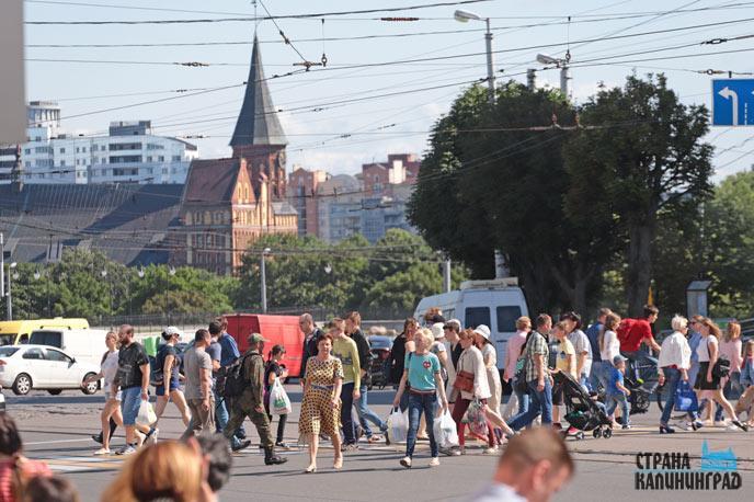 Население калининградской. Калининград население. Население города Калининград. Калининградский жители. Населенность Калининграда.