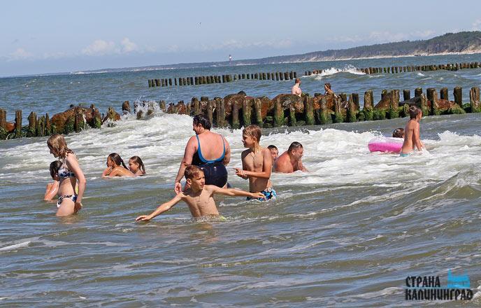 Купаются ли в балтийском море в калининграде